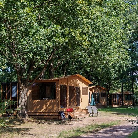 Huttopia De Roos Stegeren Eksteriør bilde